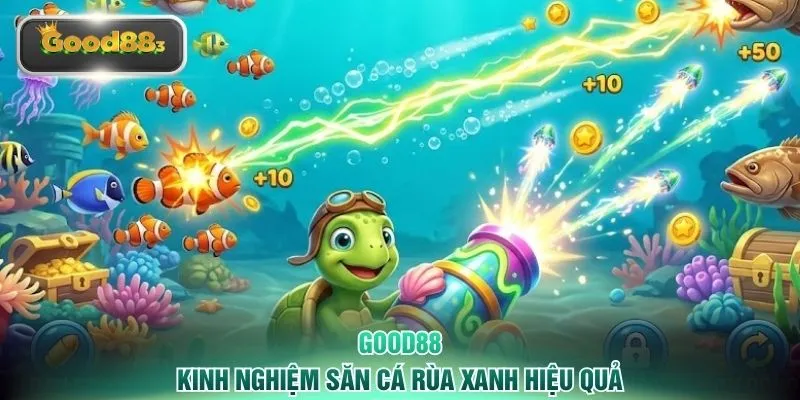 Kinh nghiệm săn cá rùa xanh hiệu quả