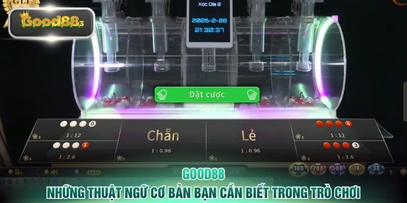 Những thuật ngữ cơ bản bạn cần biết  trong trò chơi