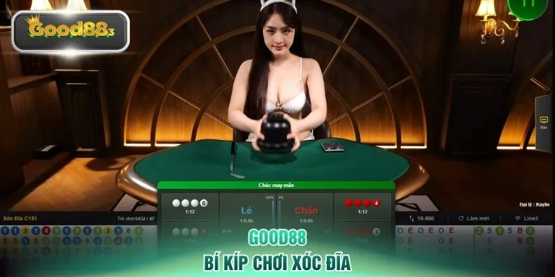Bí kíp chơi xóc đĩa