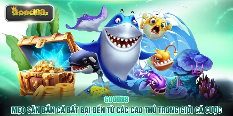 Mẹo săn bắn cá bất bại đến từ các cao thủ trong giới cá cược